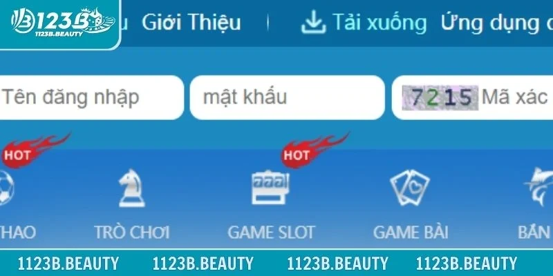 Điền chính xác thông tin biểu mẫu đăng nhập 123B