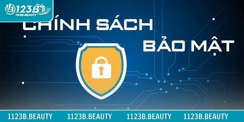 Thông tin tổng quan về chính sách bảo mật chi tiết